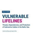 Vulnerable Lifelines