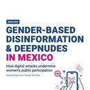 Gender-Based Disinformation & Deepnudes in Mexico