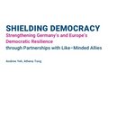 Shielding Democracy