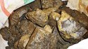 Coltan