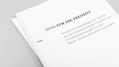 Publikation Hartz IV