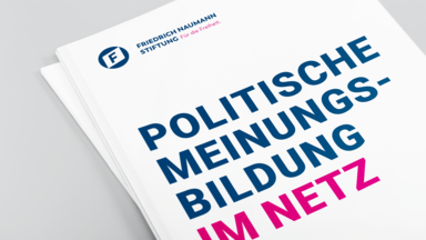 Publikation Politische Meinungsbildung im Netz