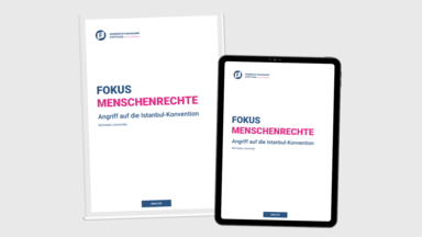 Publikation Gewalt gegen Frauen