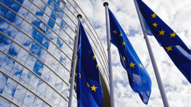 Silent Cry for Unity