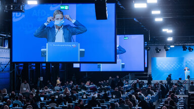 AfD Parteitag