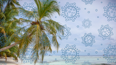 Palm Trees and virus