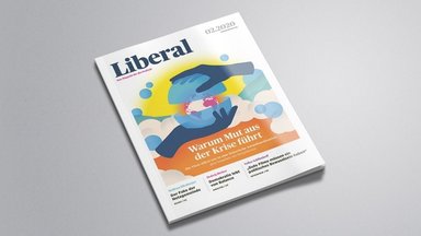 Liberal - Warum Mut aus der Krise führt