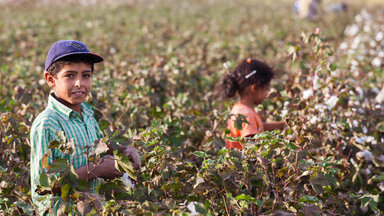 Türkische Kinderarbeiter beim Pflücken von Baumwolle nahe der Grenze zu Syrien