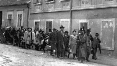 How to Counter Antisemitism? (Still image from the educational video)