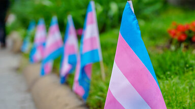 Transgender flags