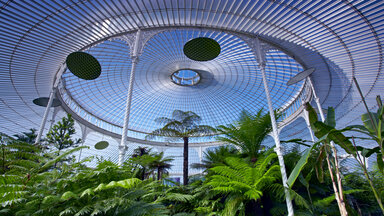 Das "Palmhouse" im Botanischen Garten Glasgow