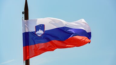 Slovenian Flag