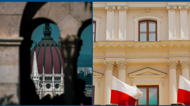 Political Capital, Projekt: Polska