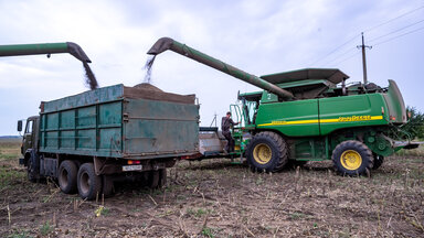 Nahrungsmittelknappheit 