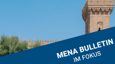 MENA Bulletin