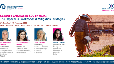 Climate Change in South Asia: The Impact on Livelihoods and Mitigation Strategies