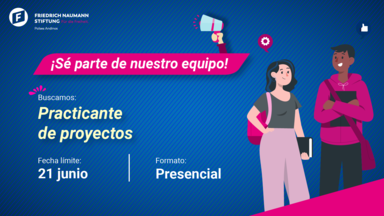 Practicante de Peoyectos 2023