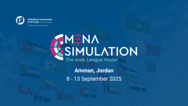 MENA Simulation