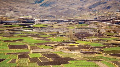 agriculture resilience 