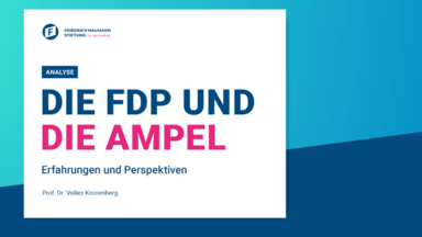 Die FDP und die Ampel