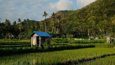 Photo by Matt Johnson on Unsplash