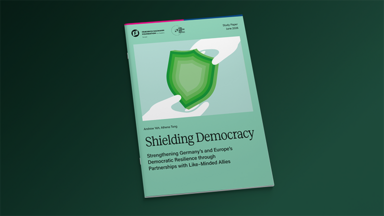 Cover of publication