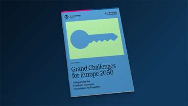 Cover of publication