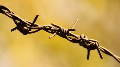 Paris, Anschläge, Terror, Deutschland, Freiheit, Demokratie, Stiftung für die Freiheit, Leutheusser-Schnarrenberg