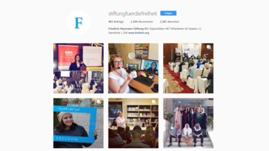 Ansicht Instagram-Account der Friedrich-Naumann-Stiftung für die Freiheit