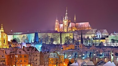 M. Zeman bleibt Präsident der Tschechischen Republik