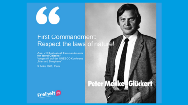 Peter Menke-Glückert