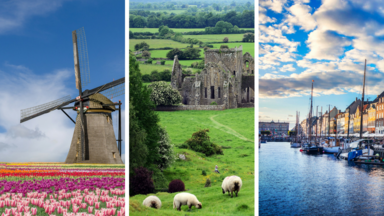 Unschuldige Brexit-Opfer: Niederlande, Irland und Dänemark