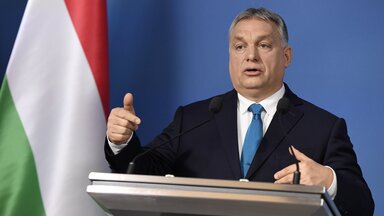 What will shape Hungarian politics in 2019? 