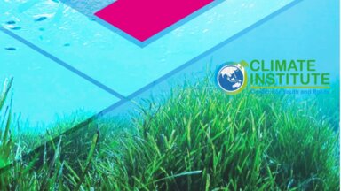 Blue Carbon dan Perubahan Iklim