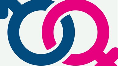 Ders Kitaplarında Sekülerizm ve Toplumsal Cinsiyet Eşitliği Araştırması Sonuç Raporu