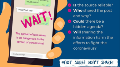 Confronting the Coronavirus Disinformation