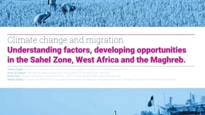 'Climate change and migration' - live from COP28 UAE